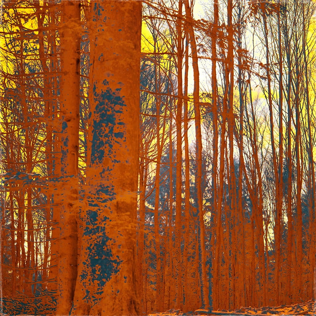 chart showing rising cost of international stamps 2020-2026