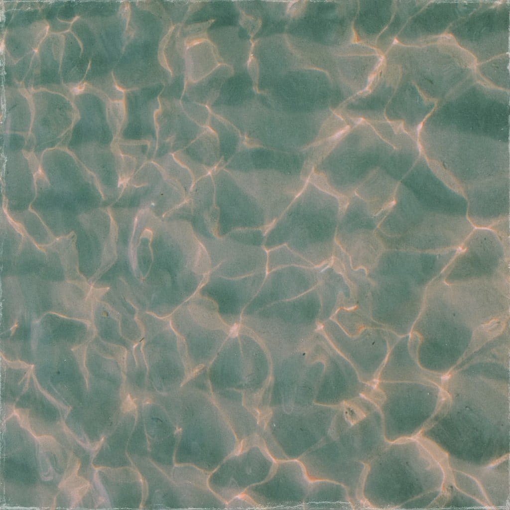 stamps com customer service - Collector's Guide and Value Analysis