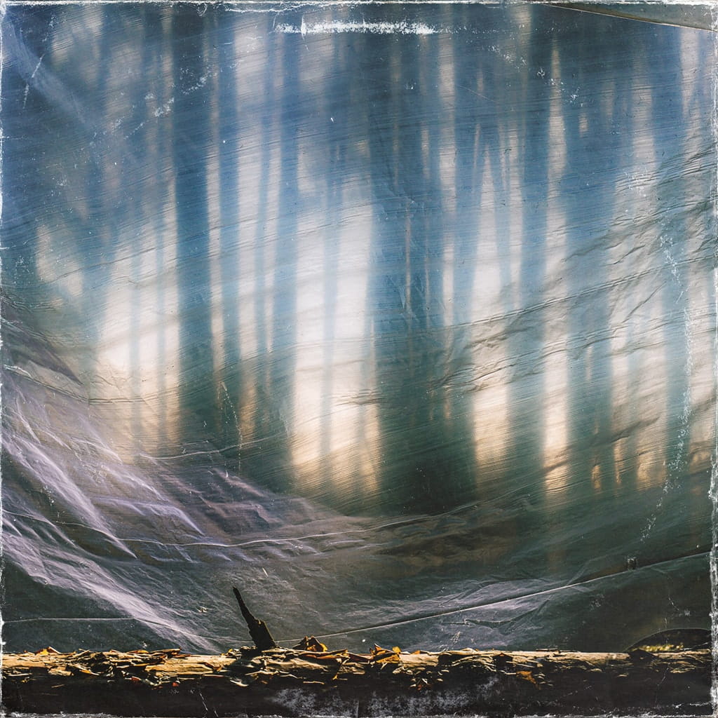 close up of additional postage stamps showing microprinting and security features