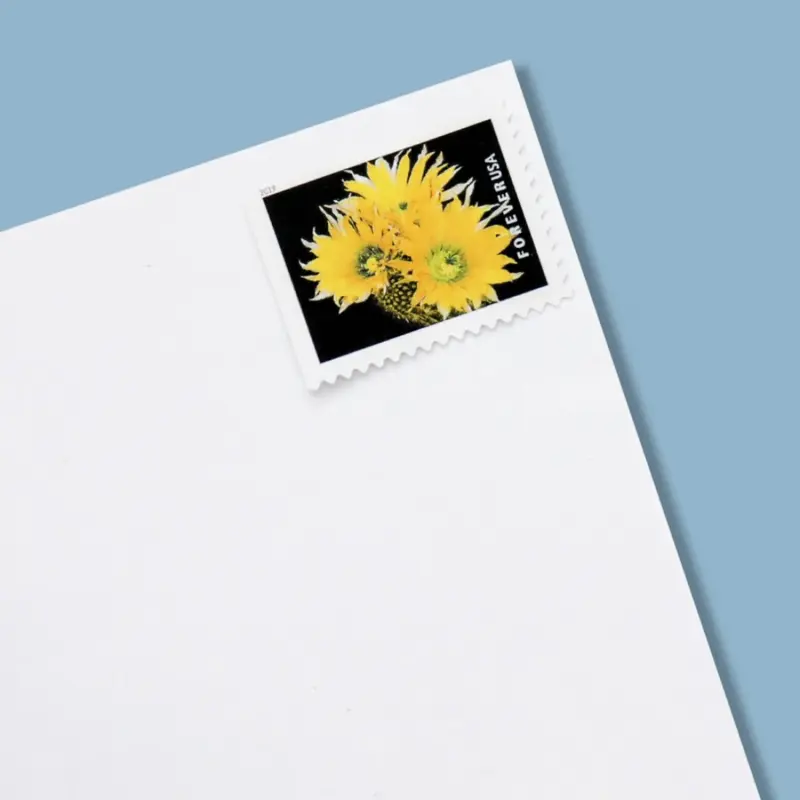 priority mail stamp - Stamp Collecting Guide and Reviews