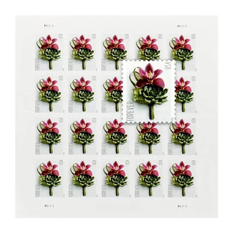 address a envelope - Stamp Collecting Guide and Reviews