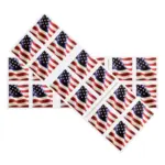 Booklet 2017 U.S Flag Forever First-Class Rate Stamps