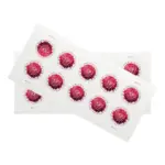 2020 US Global Chrysanthemum Forever Stamps