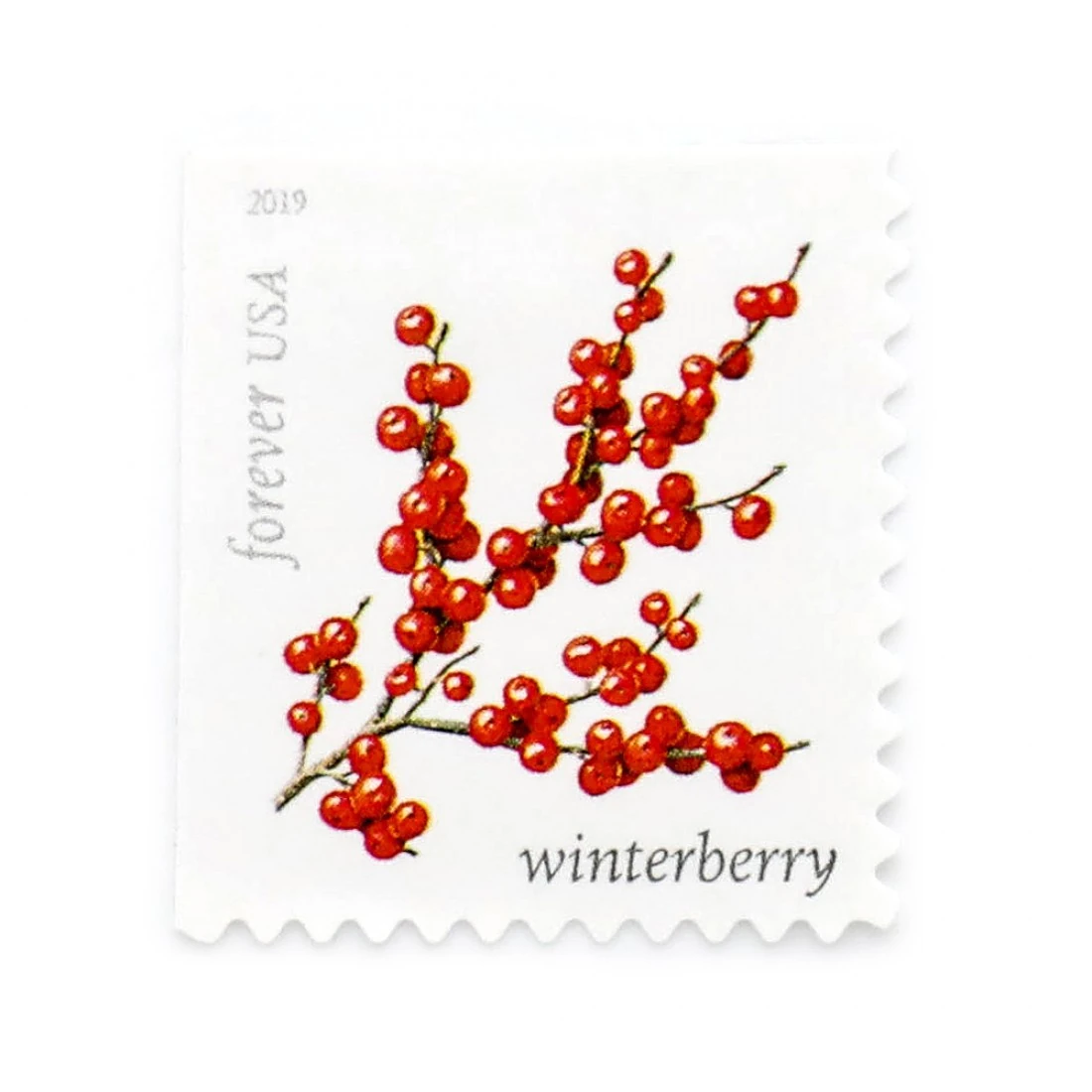 product_image_1768793381 2019 US Winter Berries Forever Stamps