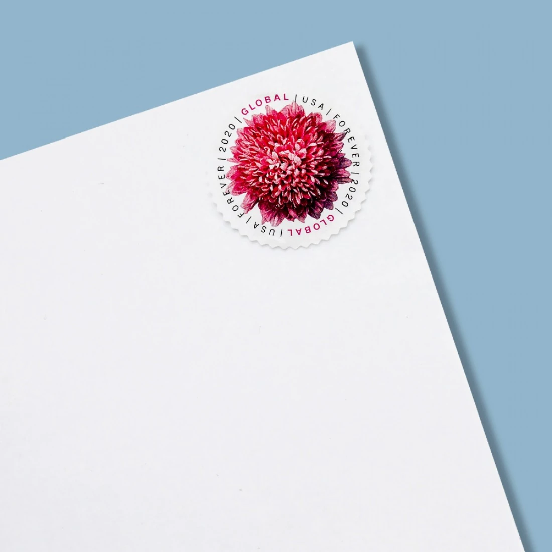 Philatelist using tongs to place a stamp in an album demonstrating how much does a united states postage stamp cost to maintain