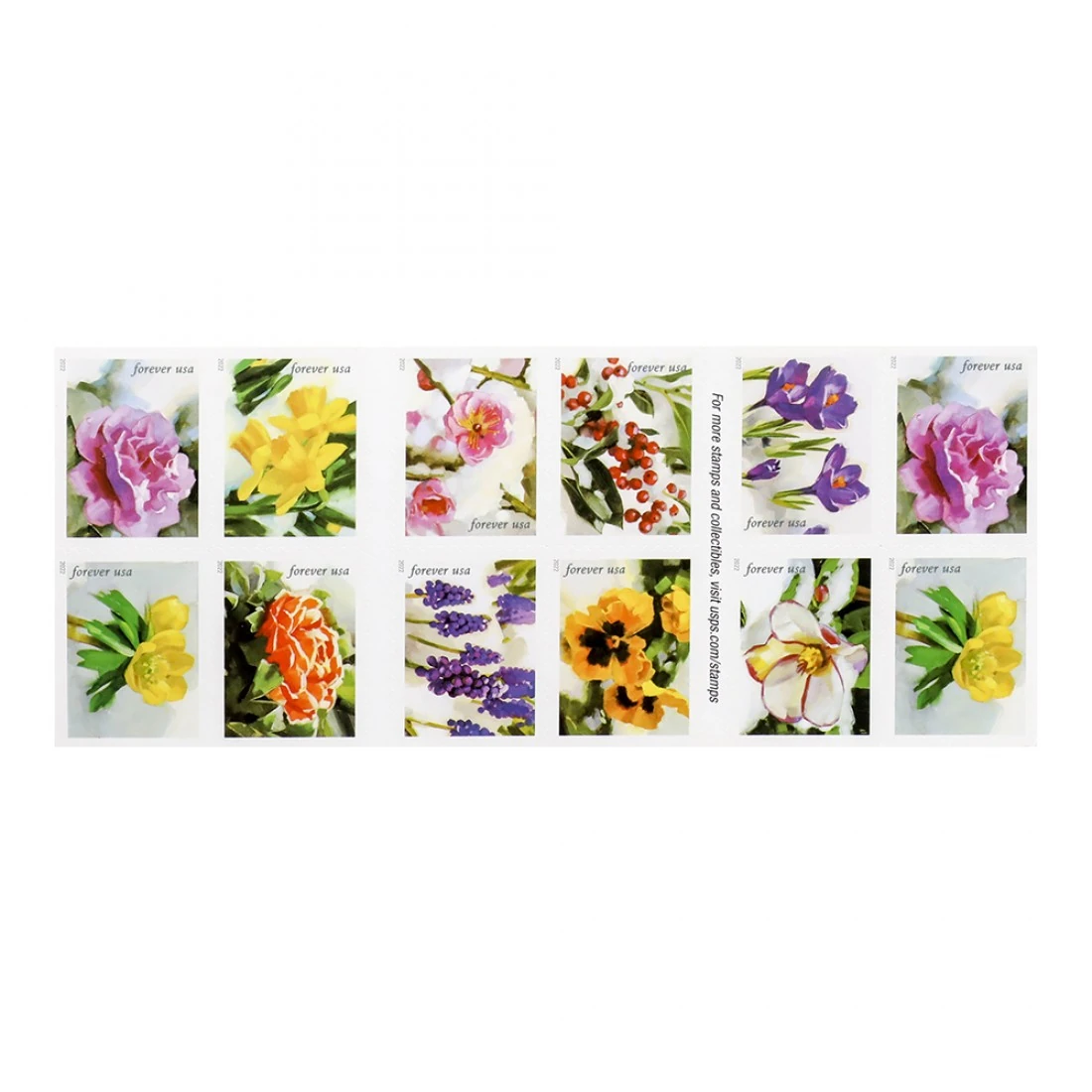 Proper storage methods for usps love stamps showing archival albums and climate control