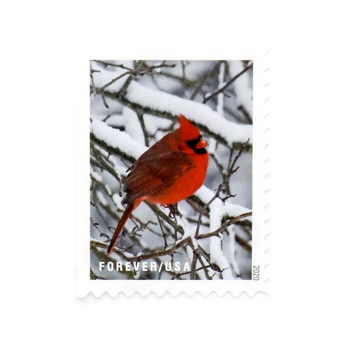 2020 US Winter Scenes Forever Postage Stamps stamps town
