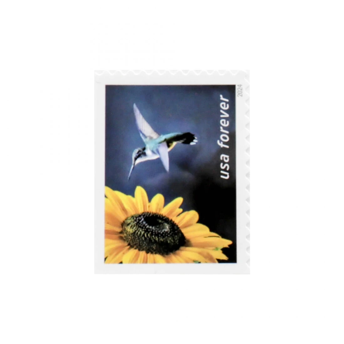 2024 U.S. Garden Delights First Class Forever Postage Stamp usps stamps order online