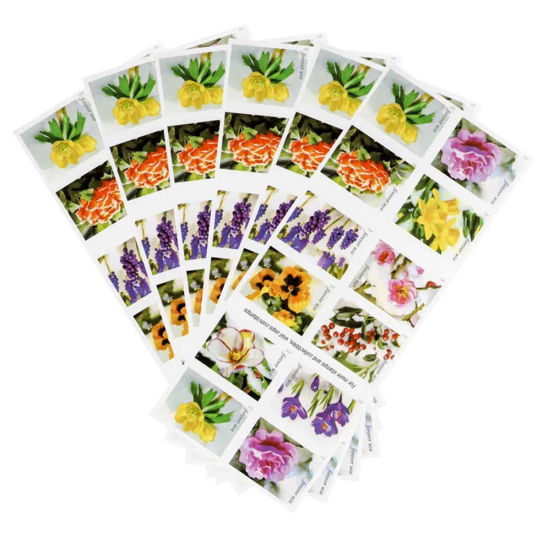 A timeline graphic showing the evolution of Forever Stamps from the 2007 Liberty Bell to the 2024 U.S. Flags, illustrating the question what does a forever stamp cover