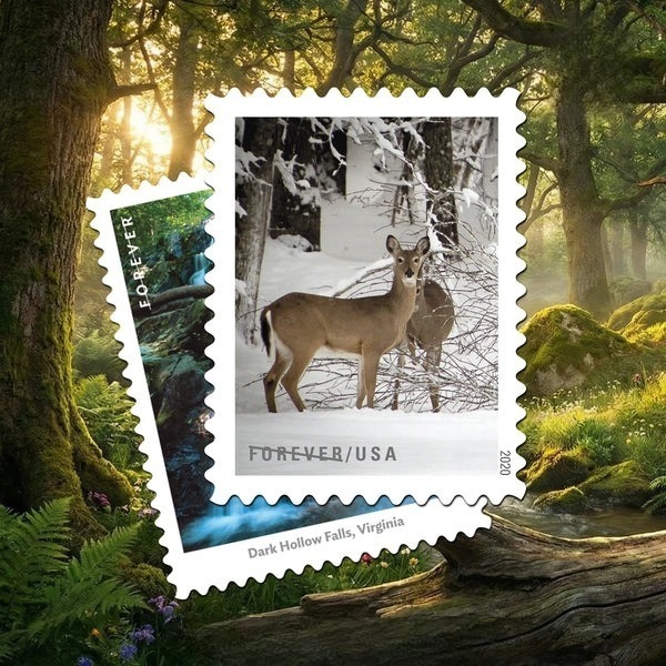Animals and Nature stamp