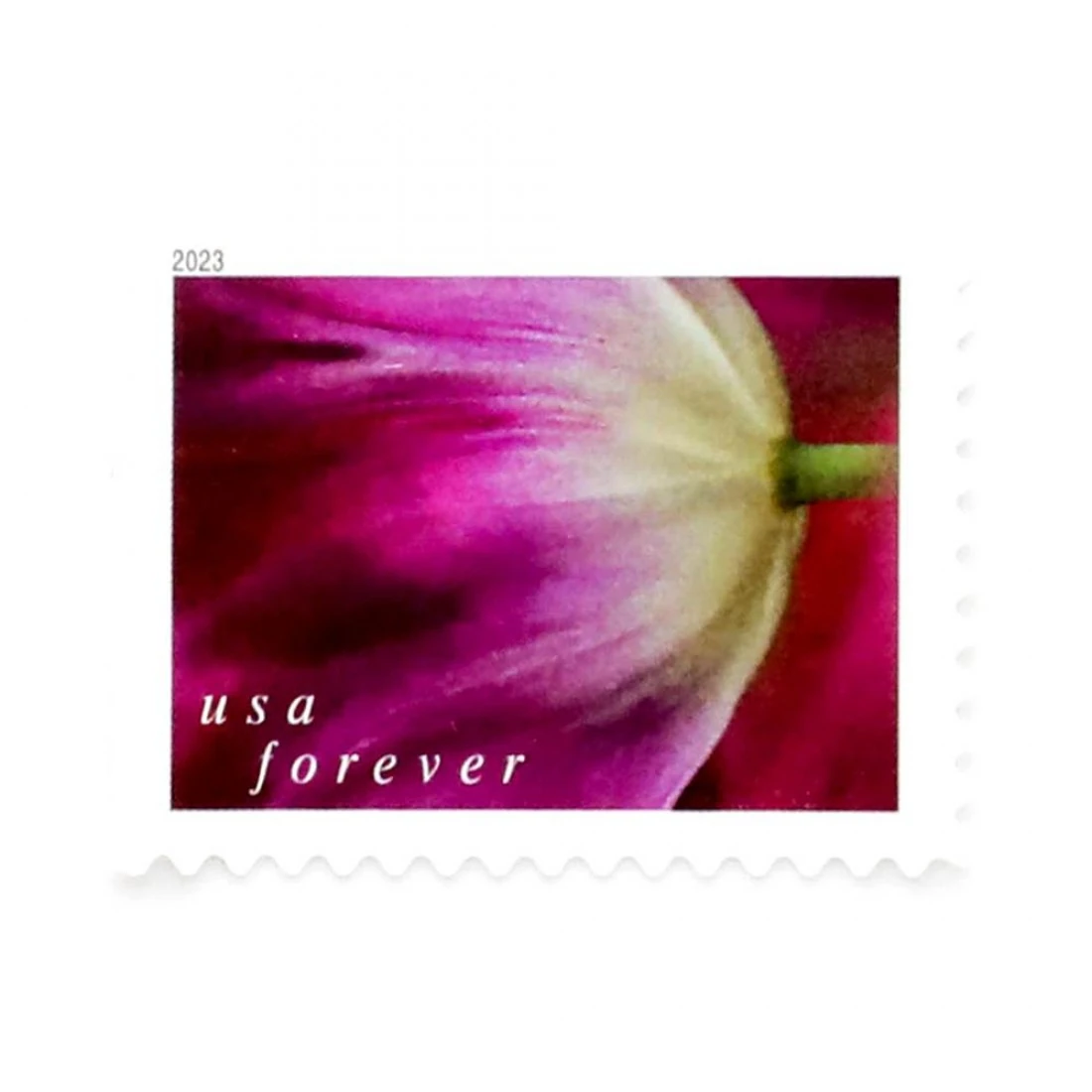 2023 US First-Class Forever Stamps - Tulip Blossoms booklet book of stamps price usps