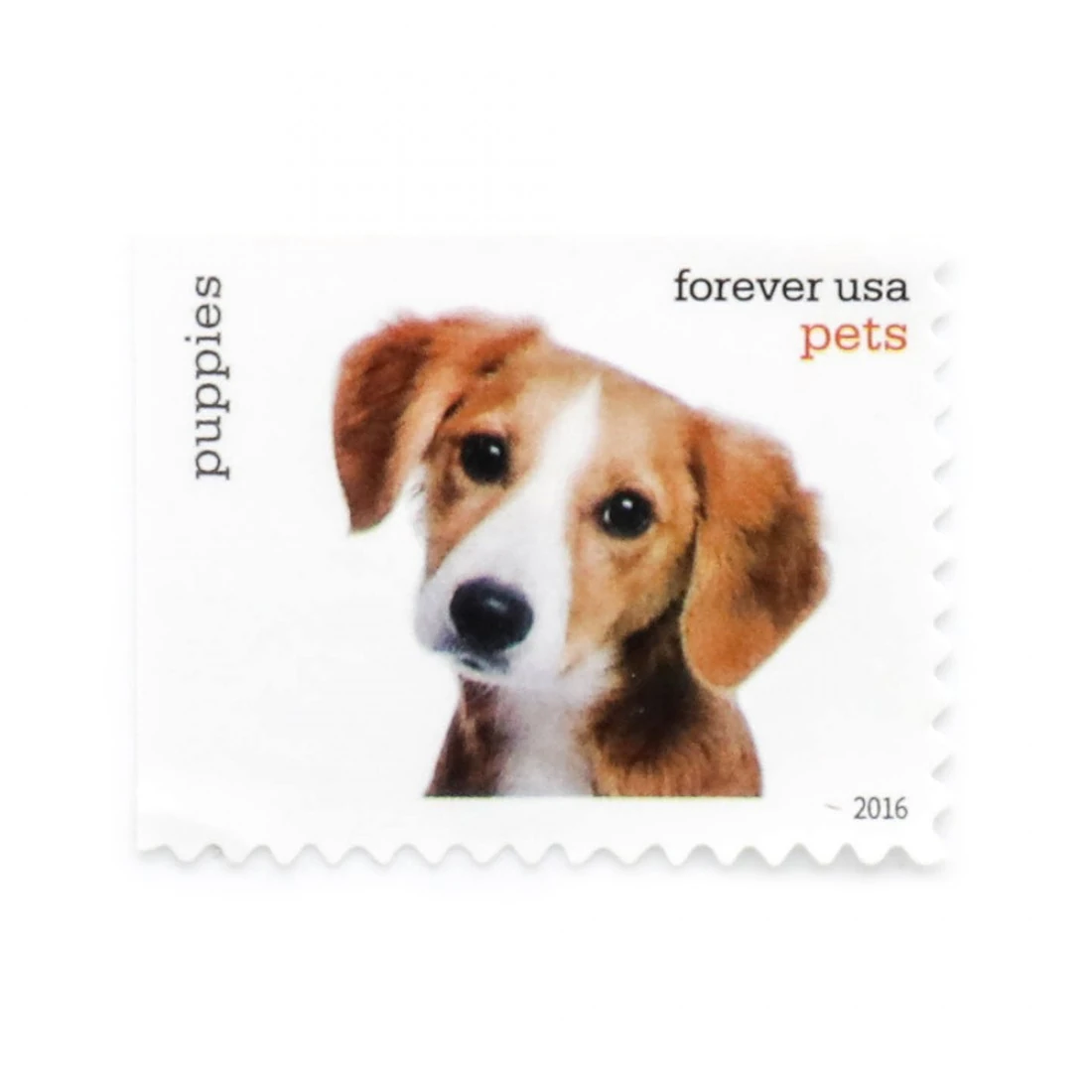 2016 US Pets Forever Stamps bugs bunny stamps value collection
