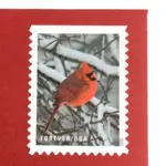 10 Cardinal Forever Stamps Christmas Cardinal Postage Stamps Red Cardinal Forever Stamps for Mailing