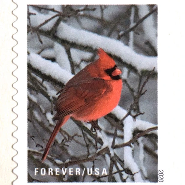 10 Cardinal Forever Stamps Christmas Cardinal Postage Stamps Red Cardinal Forever Stamps for Mailing