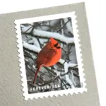 10 Cardinal Forever Stamps Christmas Cardinal Postage Stamps Red Cardinal Forever Stamps for Mailing