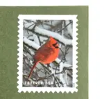 10 Cardinal Forever Stamps Christmas Cardinal Postage Stamps Red Cardinal Forever Stamps for Mailing
