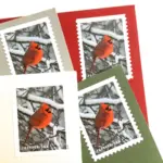 10 Cardinal Forever Stamps Christmas Cardinal Postage Stamps Red Cardinal Forever Stamps for Mailing
