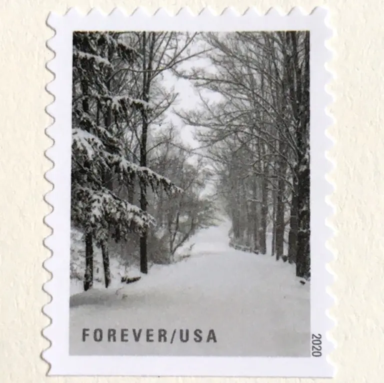 10 Winter Forest Forever Stamps Holiday Woods in Snow Postage Stamps for Mailing