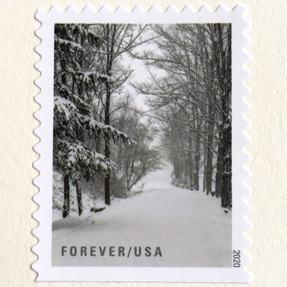 product_image_1774524808 10 Winter Forest Forever Stamps Holiday Woods in Snow Postage Stamps for Mailing