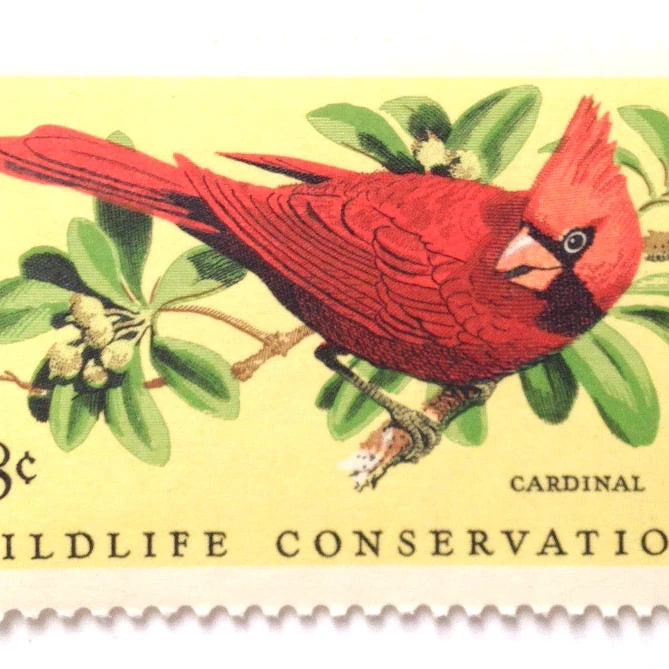 10 Cardinal Stamps Vintage Unused 8 Cent Postage Stamps for Mailing