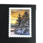 10 Evergreen Forever Stamps for Mailing Winter Pine Tree Forever Stamps For Mailing Holiday Cards or Wedding Invitations