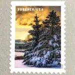 10 Evergreen Forever Stamps for Mailing Winter Pine Tree Forever Stamps For Mailing Holiday Cards or Wedding Invitations