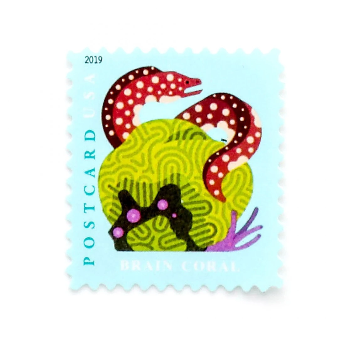 2019 US Coral Reefs Postcard Stamps featuring spongebob squarepants under the sea themes