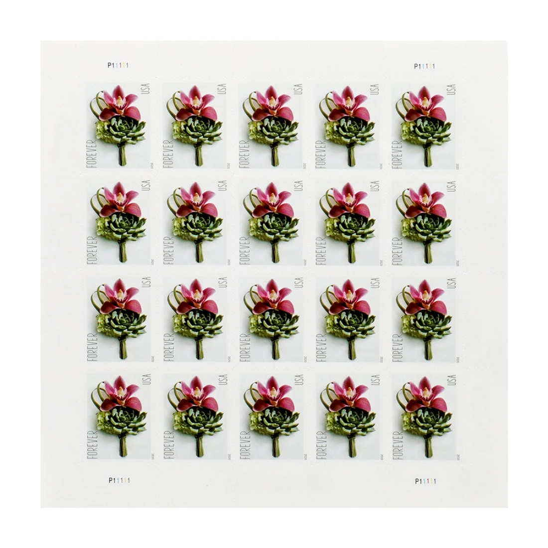 Graph showing the price appreciation trend of the usps betty white stamp from 2024 to 2026