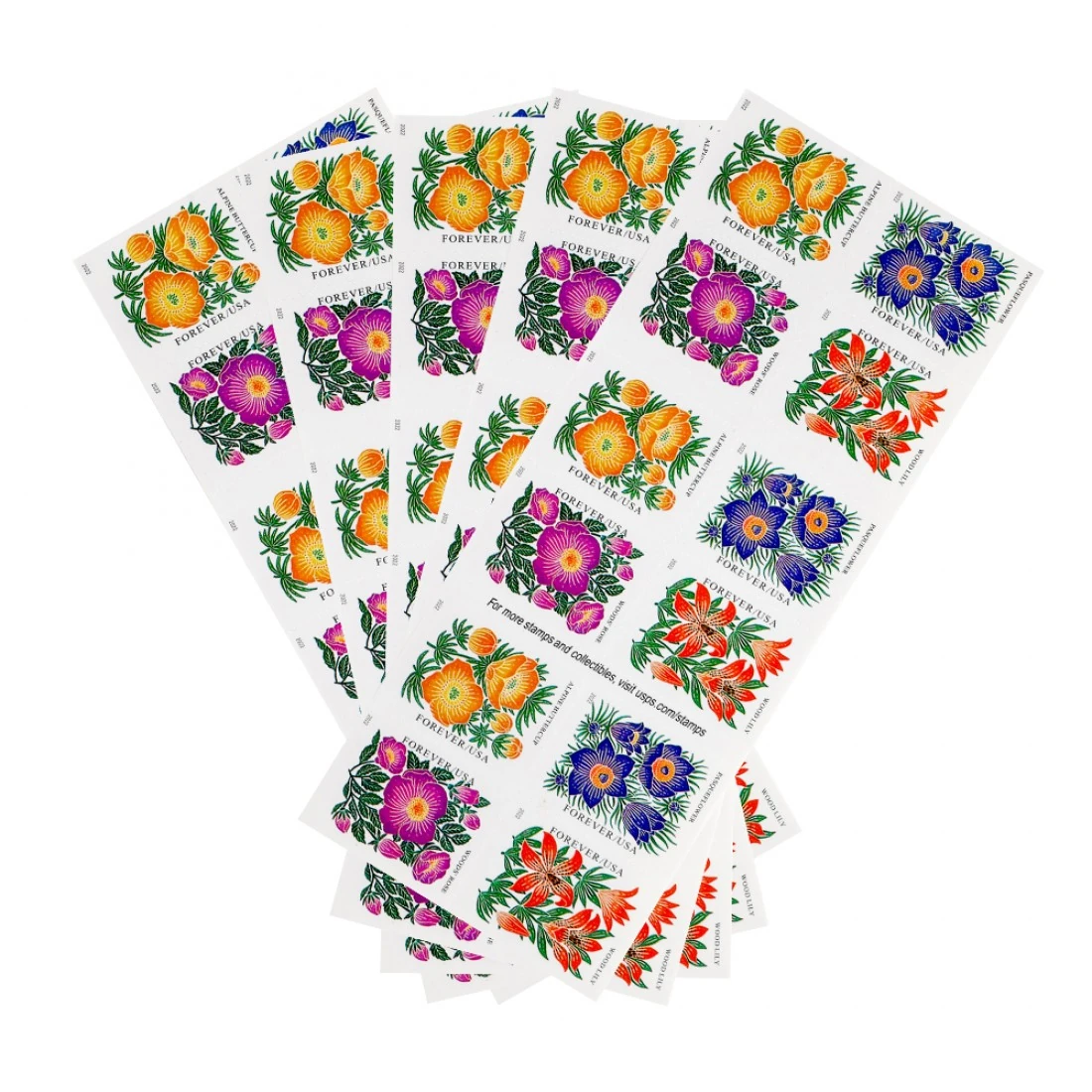 Macro shot of stamp perforations on a California Dogface Butterfly stamp illustrating what is california's state insect