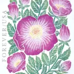 10 Wild Rose Forever Stamps Unused Pink Floral Forever Postage Stamps for Mailing