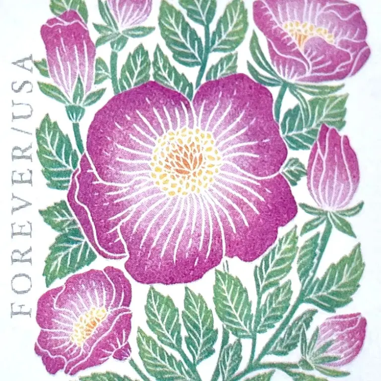 10 Wild Rose Forever Stamps Unused Pink Floral Forever Postage Stamps for Mailing