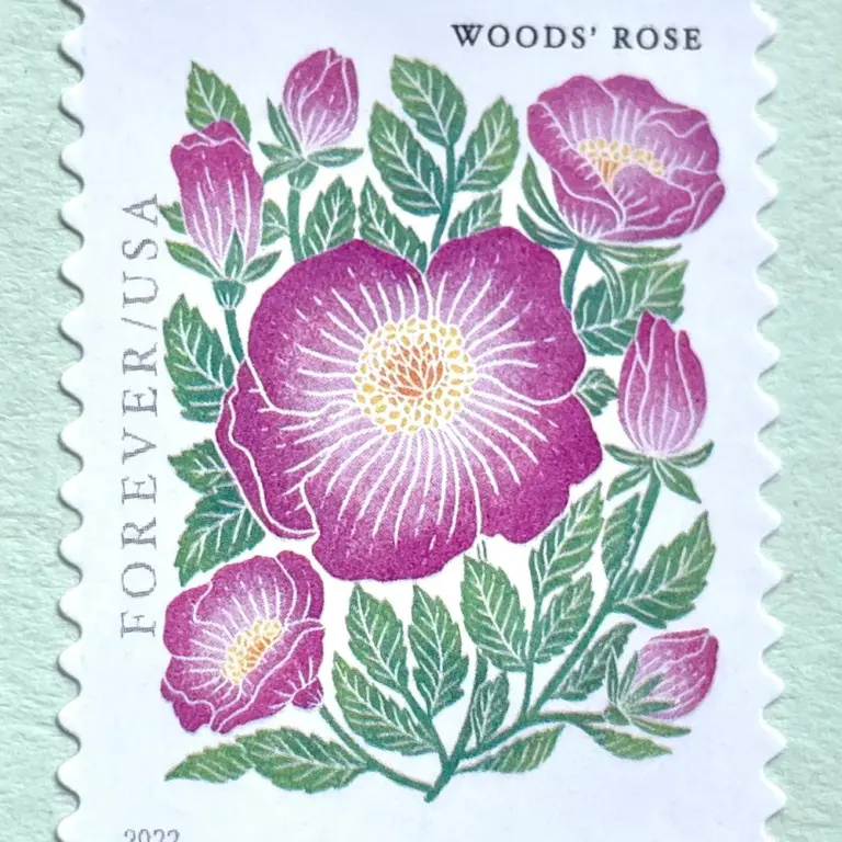 10 Wild Rose Forever Stamps Unused Pink Floral Forever Postage Stamps for Mailing