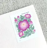 10 Wild Rose Forever Stamps Unused Pink Floral Forever Postage Stamps for Mailing