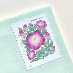 10 Wild Rose Forever Stamps Unused Pink Floral Forever Postage Stamps for Mailing
