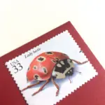 10 Wild Rose Forever Stamps Unused Pink Floral Forever Postage Stamps for Mailing