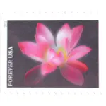 10 Pink Flower Forever Stamps Unused Botanical Love Stamps For Mailing