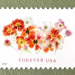 10 Wedding Flower Forever Stamps Unused Botanical Postage Stamps For Mailing