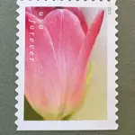 10 Pink Flower Forever Stamps Unused Botanical Postage Stamps For Mailing Wedding Invitations and Cards