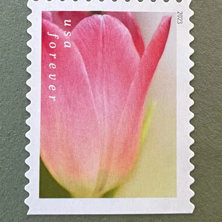 10 Pink Flower Forever Stamps Unused Botanical Postage Stamps For Mailing Wedding Invitations and Cards