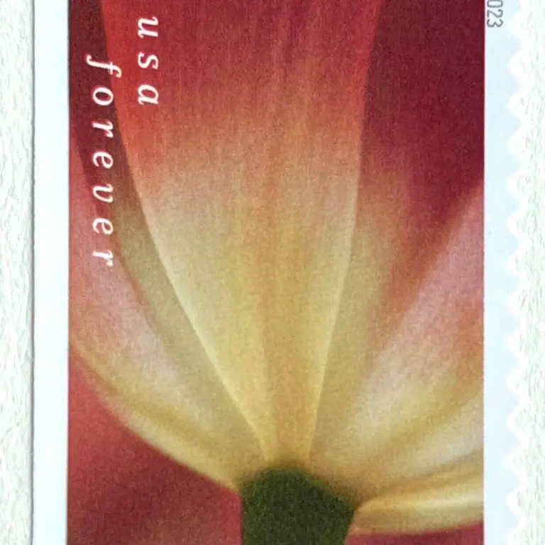 10 Burgundy Botanical Forever Stamps Unused Flower Postage Stamps For Mailing