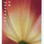 10 Burgundy Botanical Forever Stamps Unused Flower Postage Stamps For Mailing