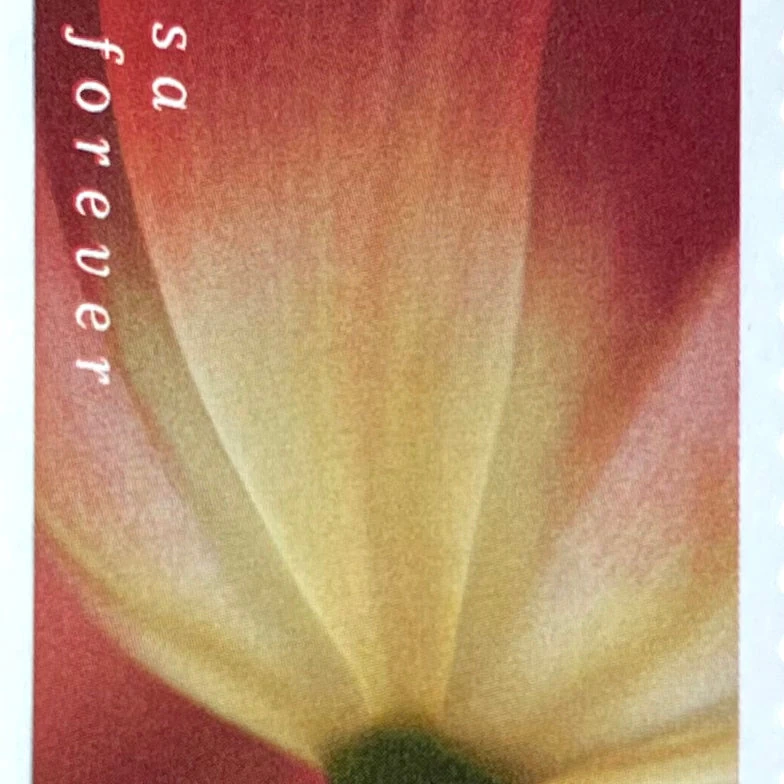 10 Burgundy Botanical Forever Stamps Unused Flower Postage Stamps For Mailing