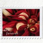10 Burgundy Botanical Forever Stamps Unused Flower Postage Stamps For Mailing