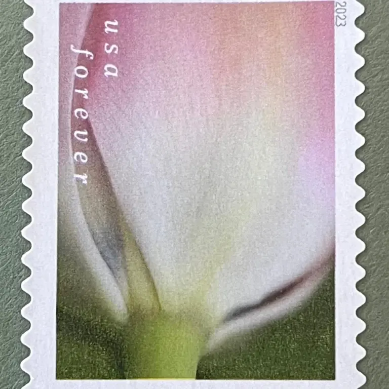 10 Pink Flower Forever Stamps Unused White Pink and Green Botanical Postage Stamps For Mailing Wedding Invitations and Cards