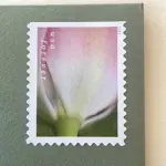 10 Pink Flower Forever Stamps Unused White Pink and Green Botanical Postage Stamps For Mailing Wedding Invitations and Cards