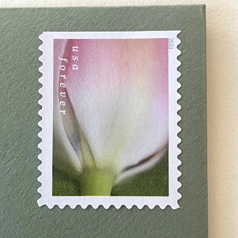 10 Pink Flower Forever Stamps Unused White Pink and Green Botanical Postage Stamps For Mailing Wedding Invitations and Cards
