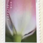 10 Pink Flower Forever Stamps Unused White Pink and Green Botanical Postage Stamps For Mailing Wedding Invitations and Cards