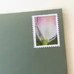 10 Pink Flower Forever Stamps Unused White Pink and Green Botanical Postage Stamps For Mailing Wedding Invitations and Cards