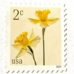 10 Tulip Stamps Unused Flower Postage Stamps for Mailing
