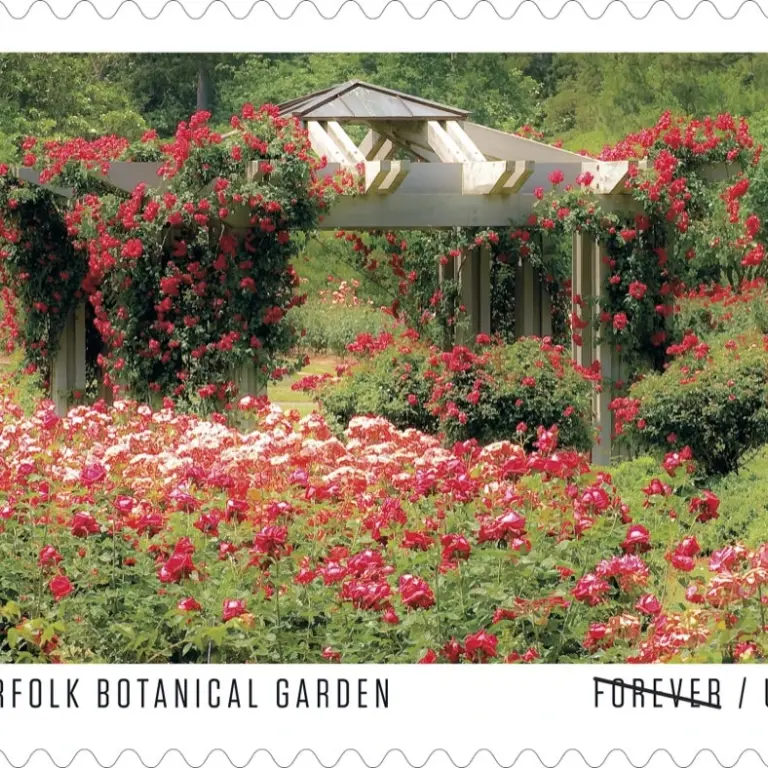 10 Cottage Garden Forever Stamps Unused Botanical Garden Stamps for Mailing